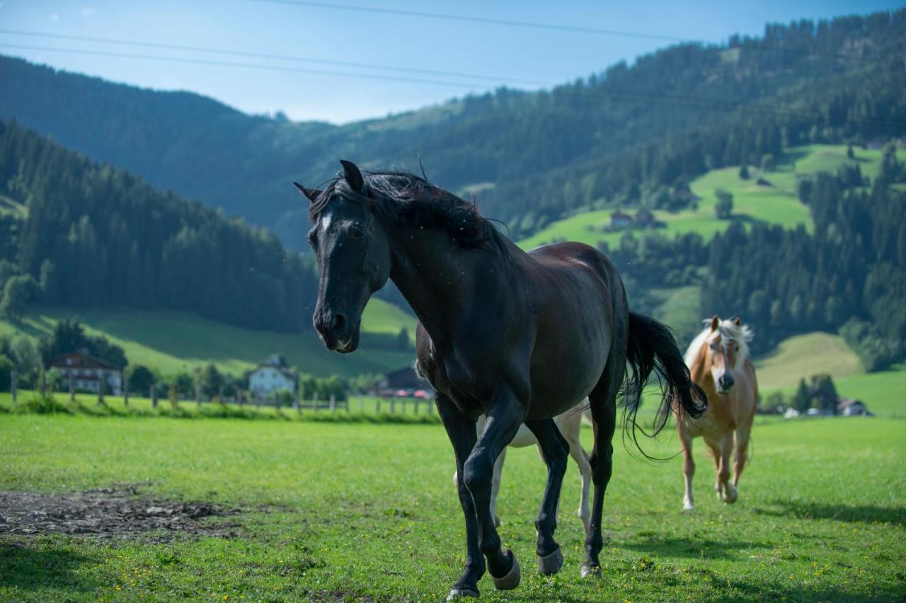 Ranstl Ferienwohnungen Flachau Luaran gambar