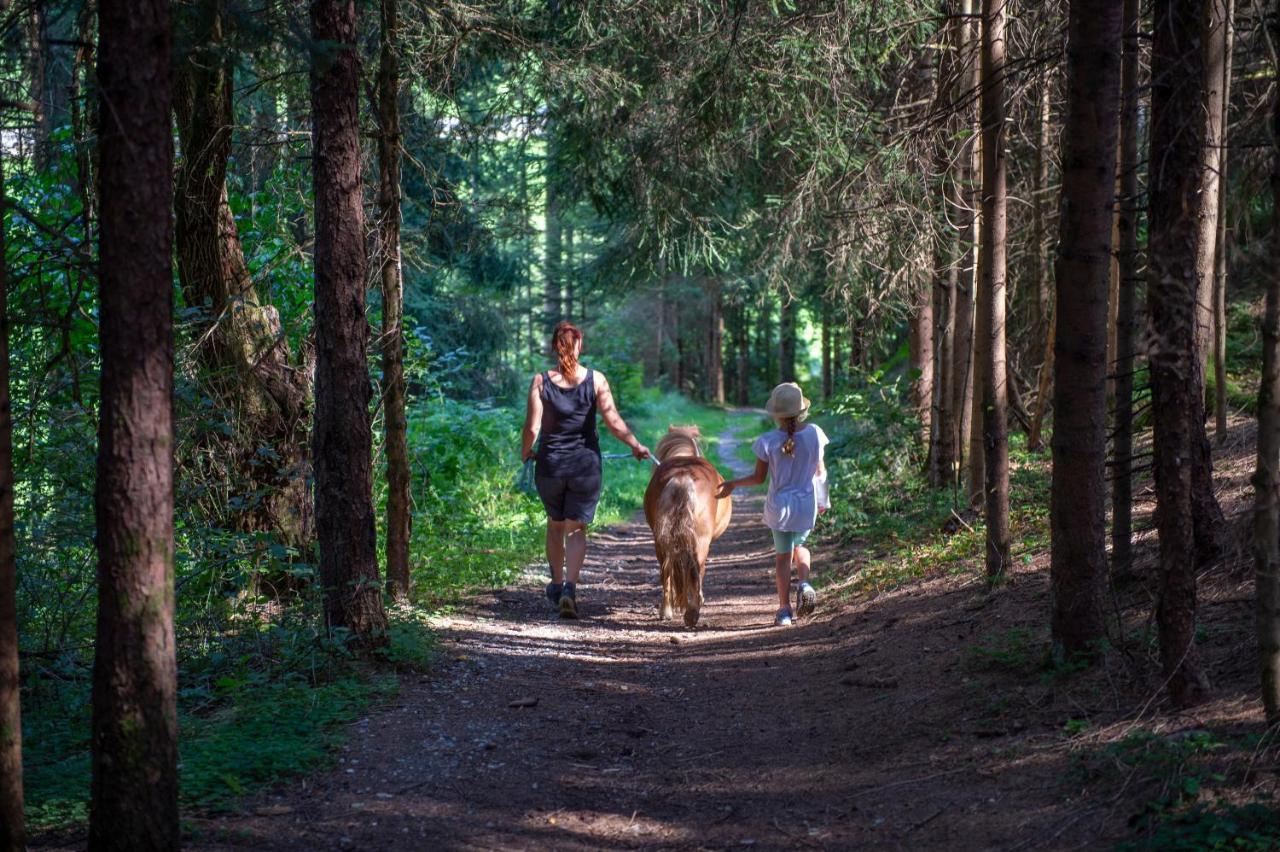 Ranstl Ferienwohnungen Flachau Luaran gambar